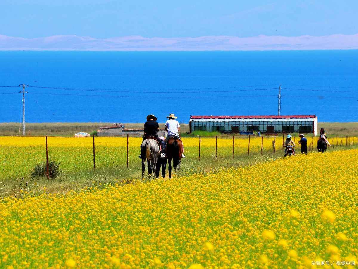 青海湖茶卡盐湖两日游